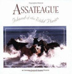 Assateague Island of the Wild Ponies 